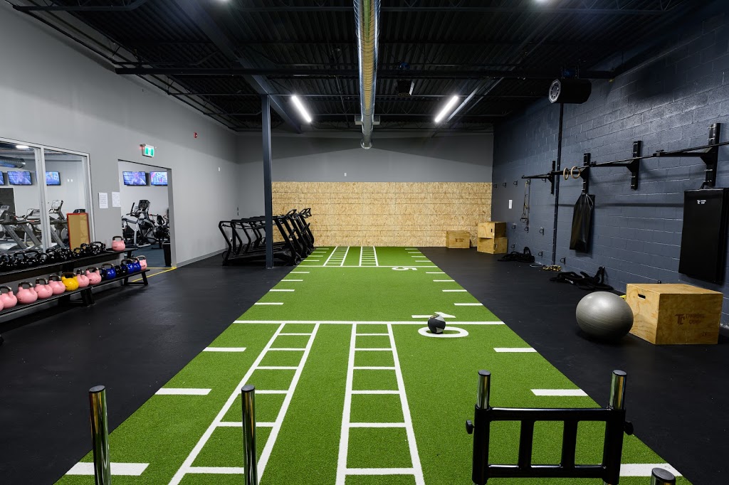Budo Canada | 38C Apex Rd, North York, ON M6A 2V2, Canada | Phone: (416) 780-1300