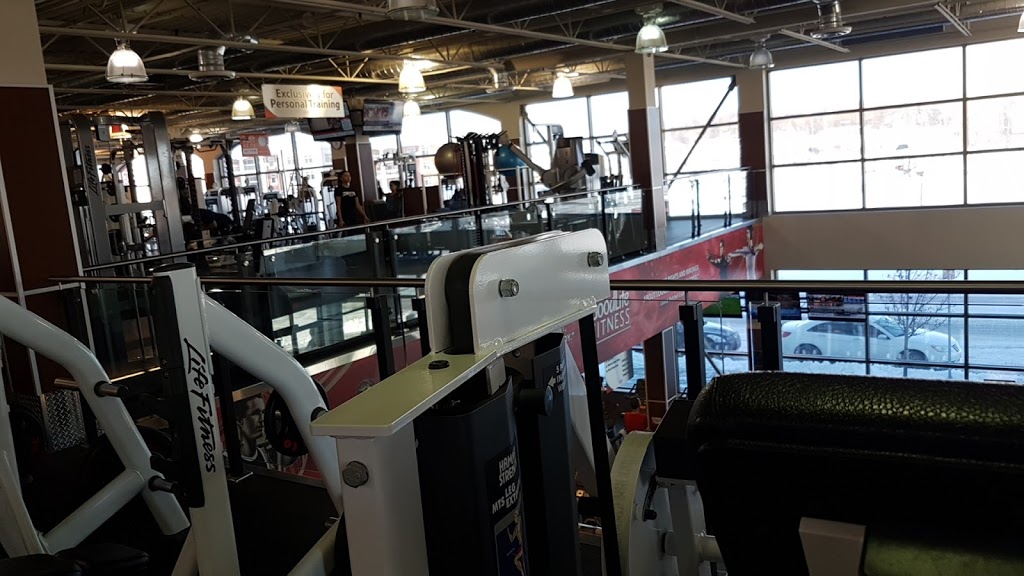 GoodLife Fitness Kitchener Williamsburg | 315 Max Becker Dr, Kitchener, ON N2E 4K9, Canada | Phone: (519) 576-4440