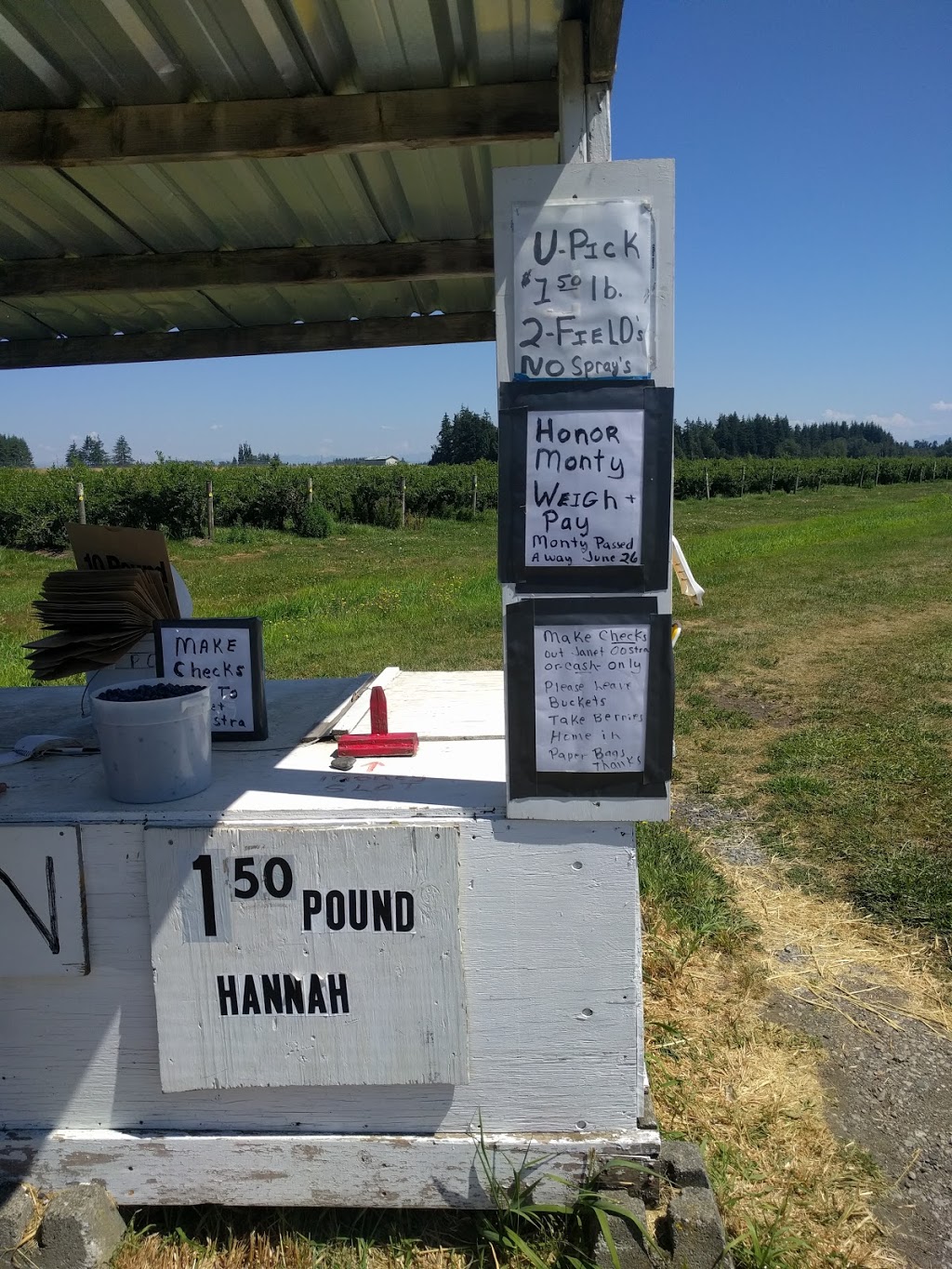 Hannah Blueberries | 7892 Enterprise Rd, Ferndale, WA 98248, USA | Phone: (360) 366-1070