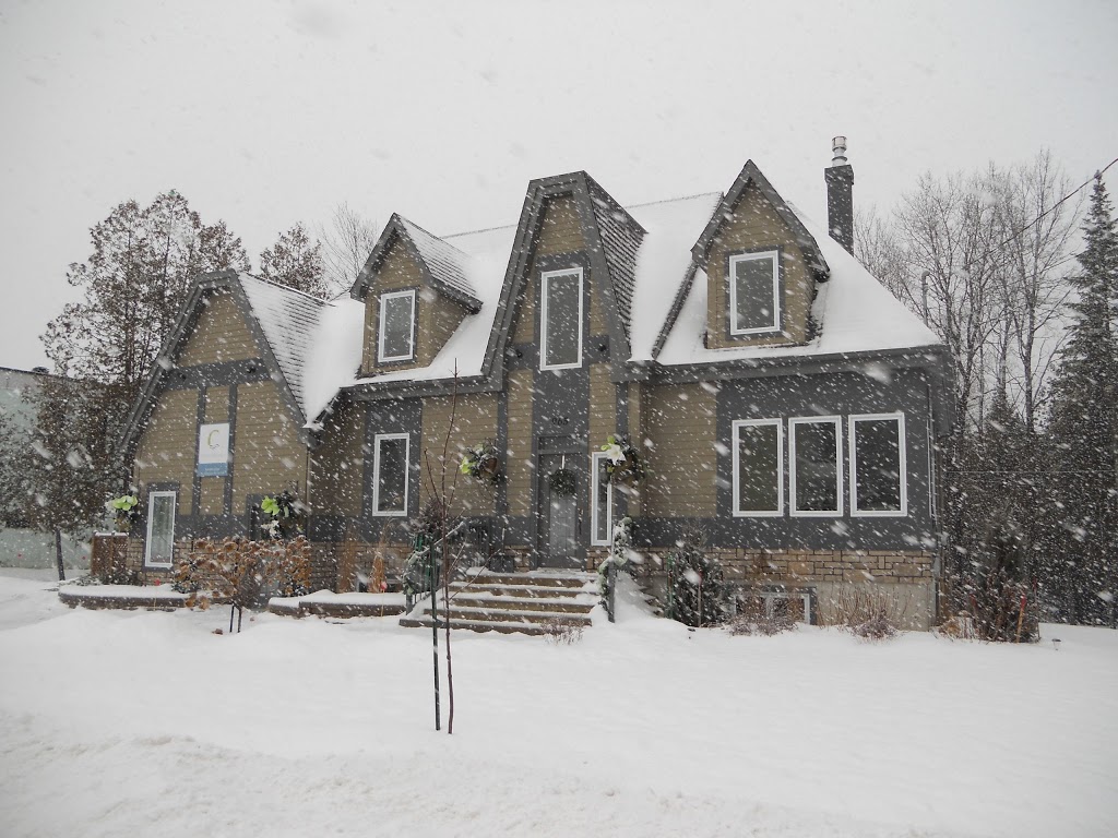 Clinique Du Ruisseau, Celine Paquette prop | 965 Rue Bissonnette, Valcourt, QC J0E 2L0, Canada | Phone: (450) 532-7198