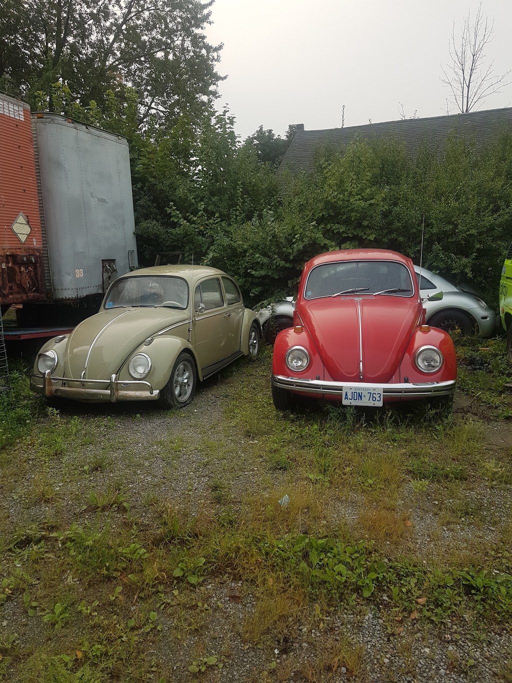 Johns Bug Shop | 1 Southworth St N, Welland, ON L3B 1X8, Canada | Phone: (905) 735-2847