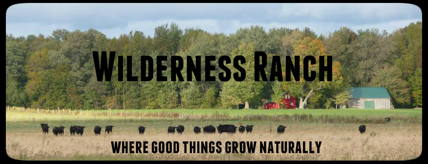 Wilderness Ranch | 6515 154 Rd, Monkton, ON N0K 1P0, Canada | Phone: (519) 504-5102