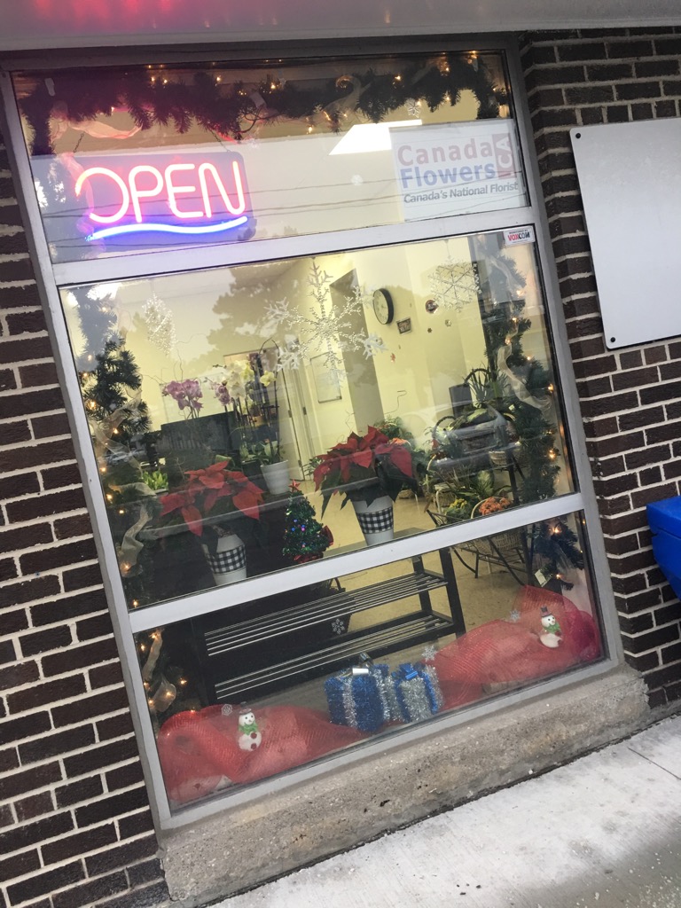 Canada Flowers | ~ Canadas National Florist, 45 Brisbane Rd #1, North York, ON M3J 2K1, Canada | Phone: (888) 705-9999