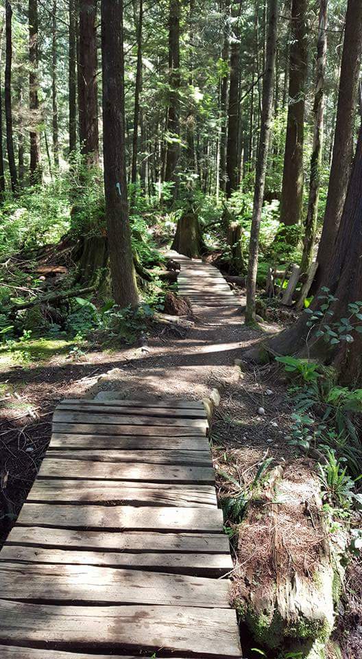 Bear Mountain Park | 10969 Dewdney Trunk Rd, Mission, BC V4S 1L1, Canada