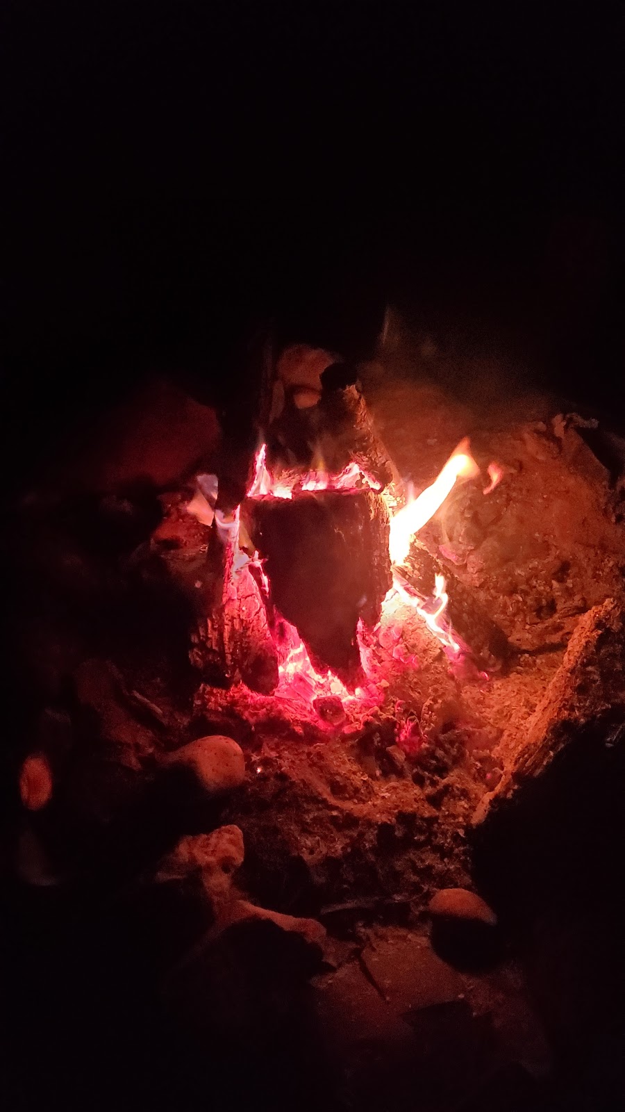 Natures Acres campsite | 49JG+95, Southgate, ON N0G 2A0, Canada | Phone: (519) 375-1617