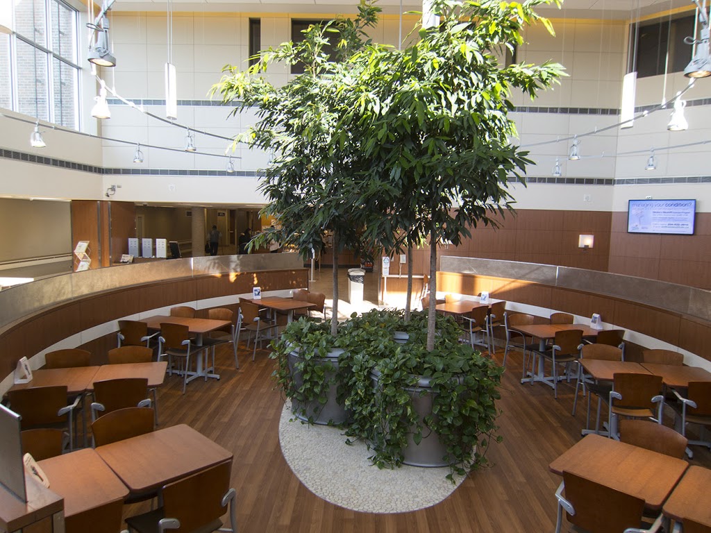 Seven Oaks General Hospital | 2300 McPhillips St, Winnipeg, MB R2V 3M3, Canada | Phone: (204) 632-7133