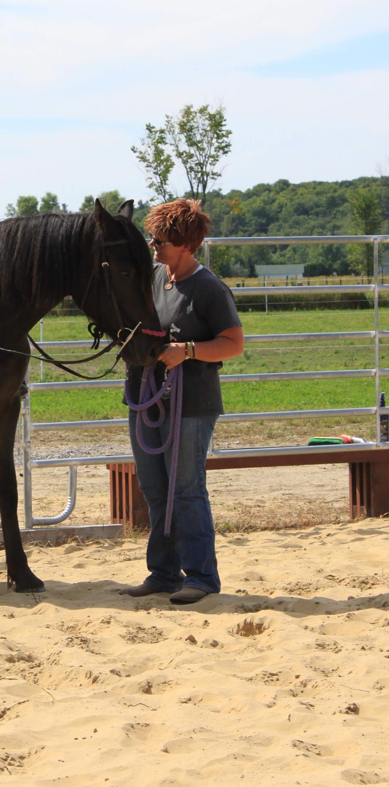 Two Minds - One Ride Horsemanship | 2058 Landry St, Clarence Creek, ON K0A 1N0, Canada | Phone: (819) 712-3565