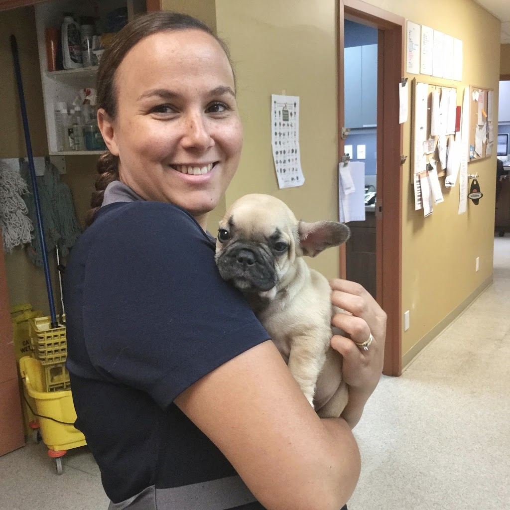 Poirier OBrien Veterinary Hospital | 410 Boulevard Saint-Jean-Baptiste, Mercier, QC J6R 2B3, Canada | Phone: (450) 692-0777