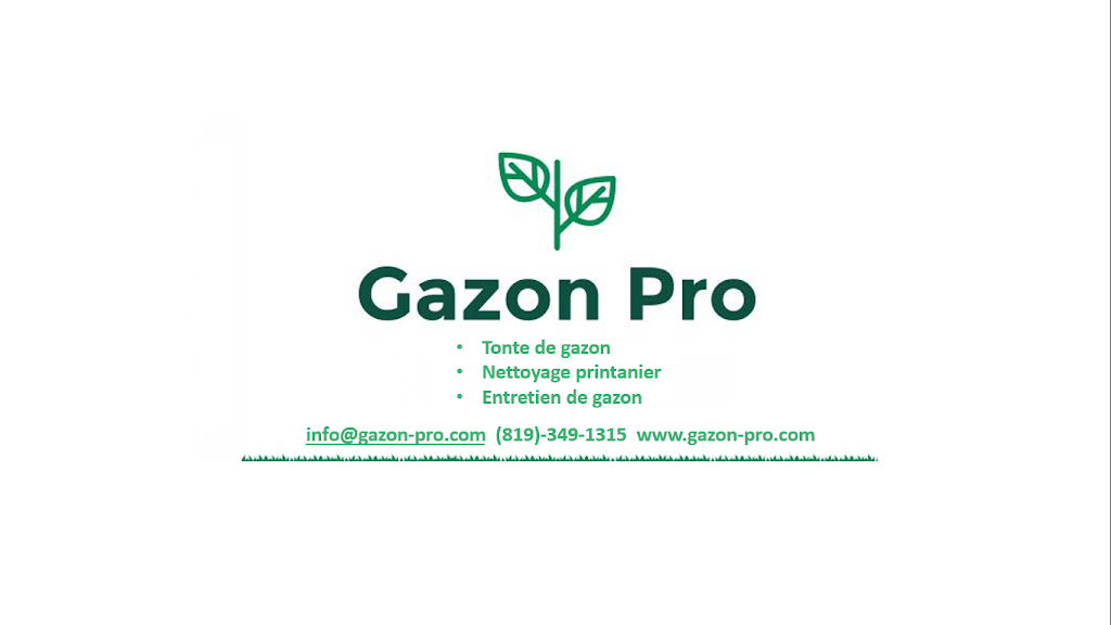 Gazon Pro | 495 Chemin Duclos, Saint-Denis-de-Brompton, QC J0B 2P0, Canada | Phone: (819) 349-1315