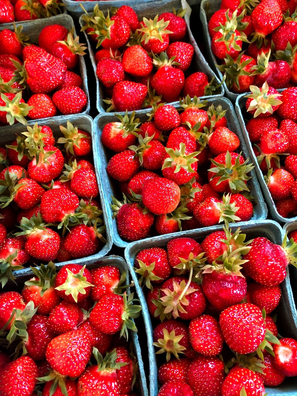 The Berry Patch | 11860 St Peters Rd, Mount Stewart, PE C0A 1T0, Canada | Phone: (902) 676-2945