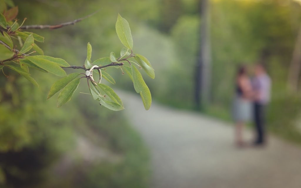 Pristine Photography | 103 Nottingham Dr, Quispamsis, NB E2E 1G8, Canada | Phone: (506) 721-0635