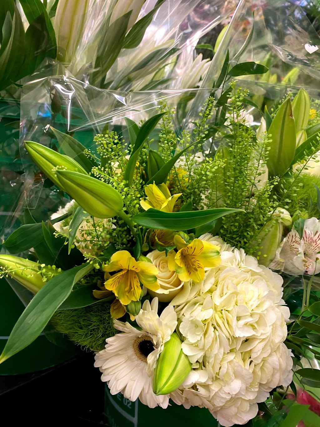 Kingston Road Flower Market | 966 Kingston Rd, Toronto, ON M4E 1S7, Canada | Phone: (416) 694-9131