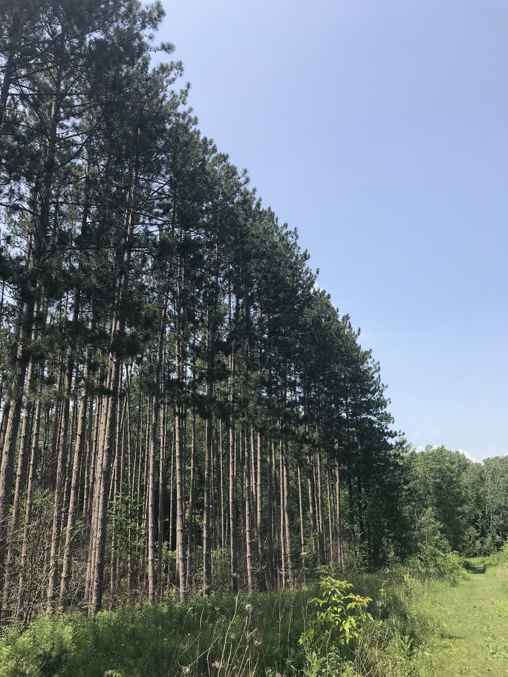 Countryside Preserve | Uxbridge, ON L9P 1R4, Canada