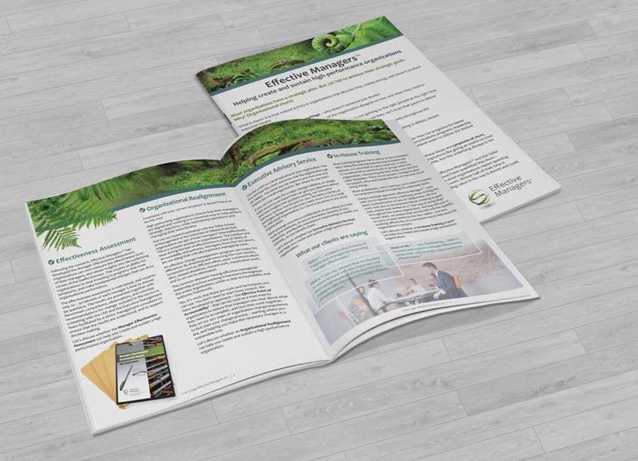 Litmus Design | Whiffletree Ct, Mississauga, ON L5N 7R1, Canada | Phone: (416) 834-0613