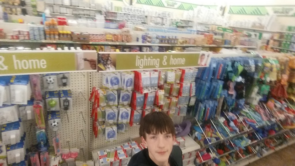 Dollar Tree | 4173 24th Ave, Fort Gratiot Twp, MI 48059, USA | Phone: (810) 385-1252