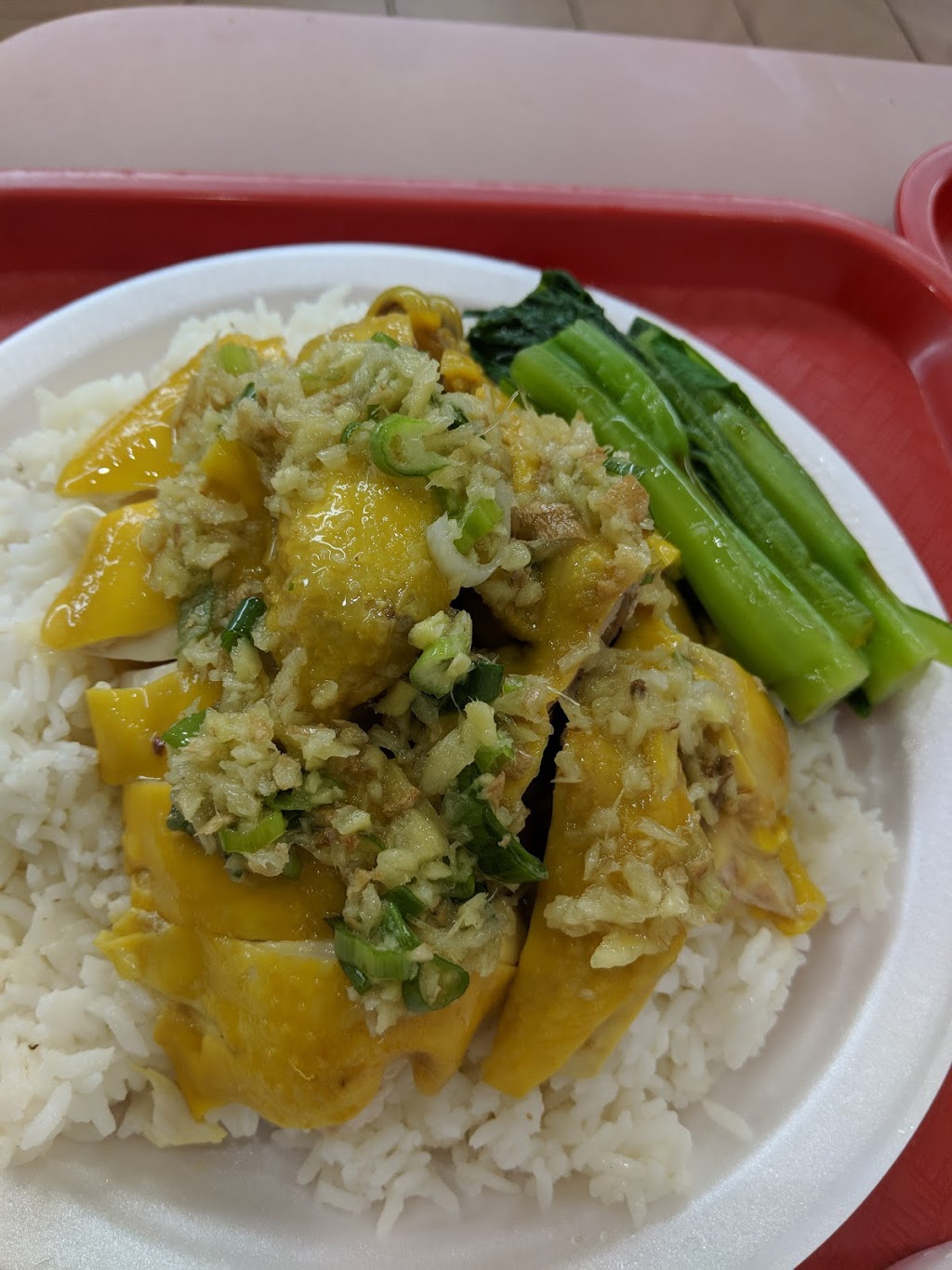 Silver Fountain Fast Food | 8 Glen Watford Dr, Scarborough, ON M1S 2C1, Canada | Phone: (416) 754-0861
