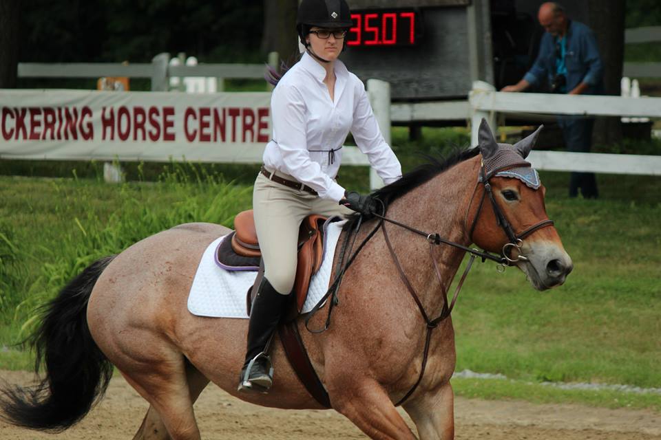 Pickering Horse Centre Ltd | 3800 Paddock Rd, Claremont, ON L1Y 1A2, Canada | Phone: (905) 626-9065