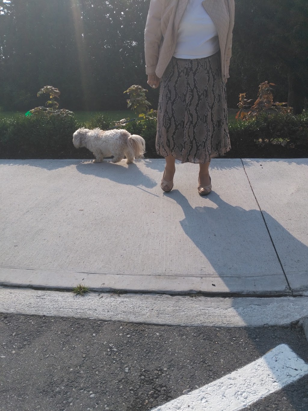 Kennedy Rd Veterinary Hospital | 10410 Kennedy Rd N, Brampton, ON L6Z 0A7, Canada | Phone: (905) 846-2332