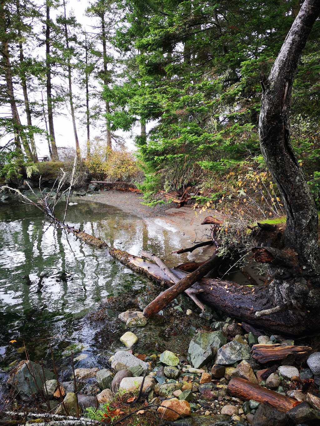 Ruckle Provincial Park | Beaver Point Rd, Salt Spring Island, BC V8K 1W3, Canada