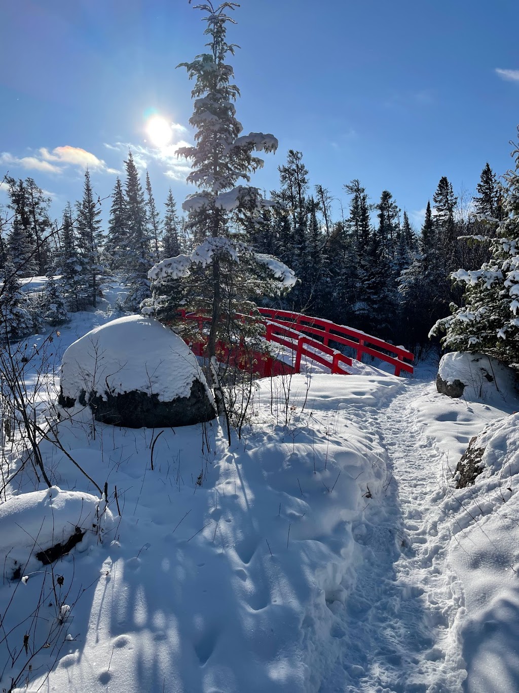 Cabin Lake Hiking Trail | Unnamed Rd, Manitoba R0E 1R0, Canada | Phone: (204) 369-3157