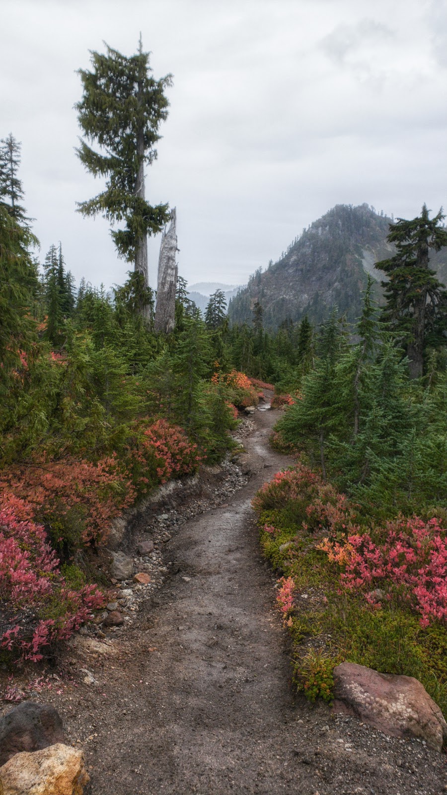Park Butte Trailhead | Pacific NW Trail, Concrete, WA 98237, USA