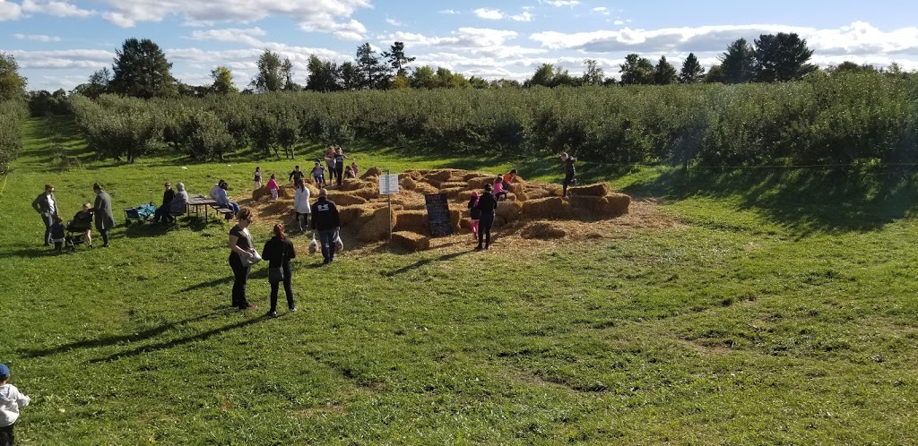 JC Agri Orchards | 3105 16th Sideroad, King City, ON L7B 1A3, Canada | Phone: (705) 817-0943