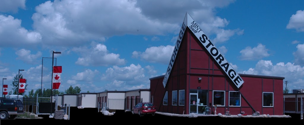 Mint Self Storage | 1345 Niakwa Rd E, Winnipeg, MB R2J 3T3, Canada | Phone: (204) 487-6468