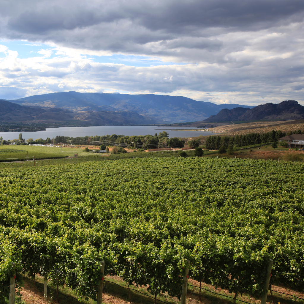 Moon Curser Vineyards | 3628 BC-3, Osoyoos, BC V0H 1V6, Canada | Phone: (250) 495-5161