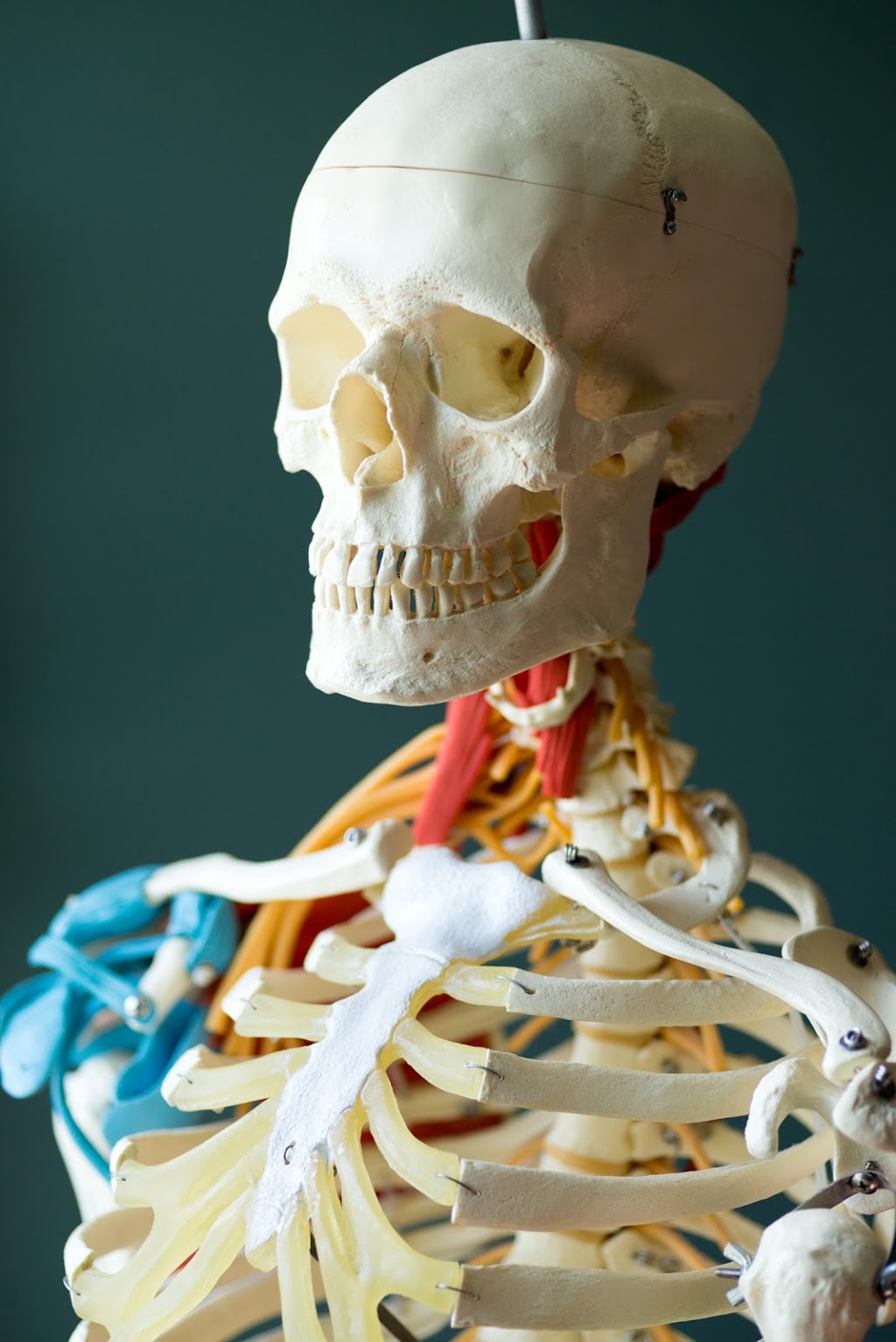 Back in Balance Muskoka Chiropractic & Acupuncture | 395 Centre St N Suite 102-7, Huntsville, ON P1H 2P9, Canada | Phone: (705) 571-2250