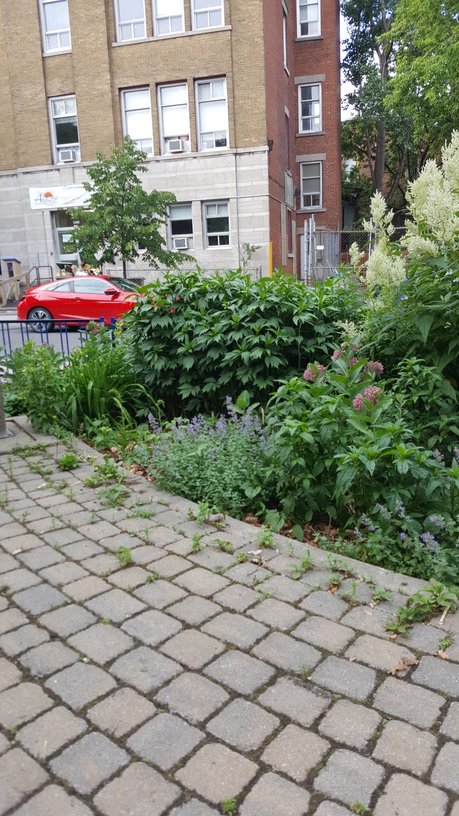 Parc Drolet-Rachel | 4274 Rue Drolet, Montréal, QC H2W 2L6, Canada | Phone: (514) 872-0311