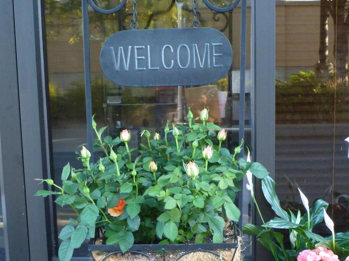 Natural Comfort Wellness Centre | 1077 56 St #117, Delta, BC V4L 2A2, Canada | Phone: (604) 943-7222