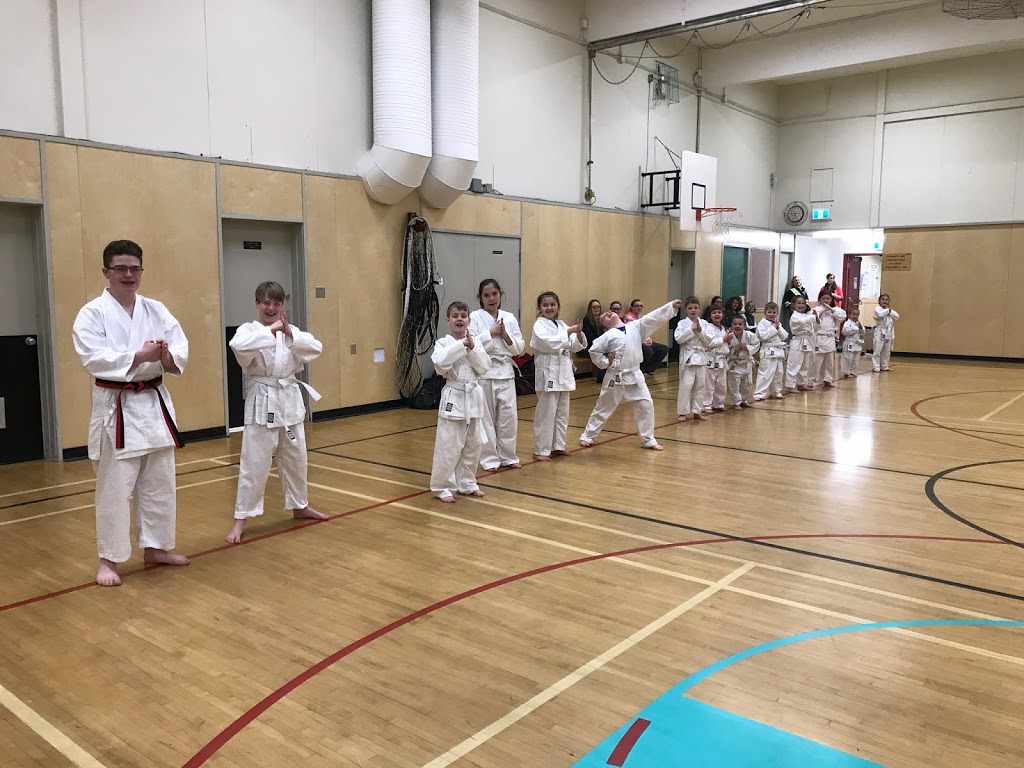 Fraser Valley Karate Club | 7285 McCullough Rd, Agassiz, BC V0M 1A2, Canada | Phone: (604) 819-1284
