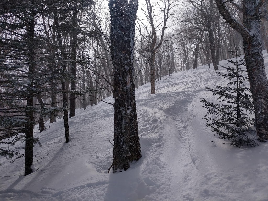 Jay Peak Resort | 830 Jay Peak Rd, Jay, VT 05859, USA | Phone: (802) 988-2611