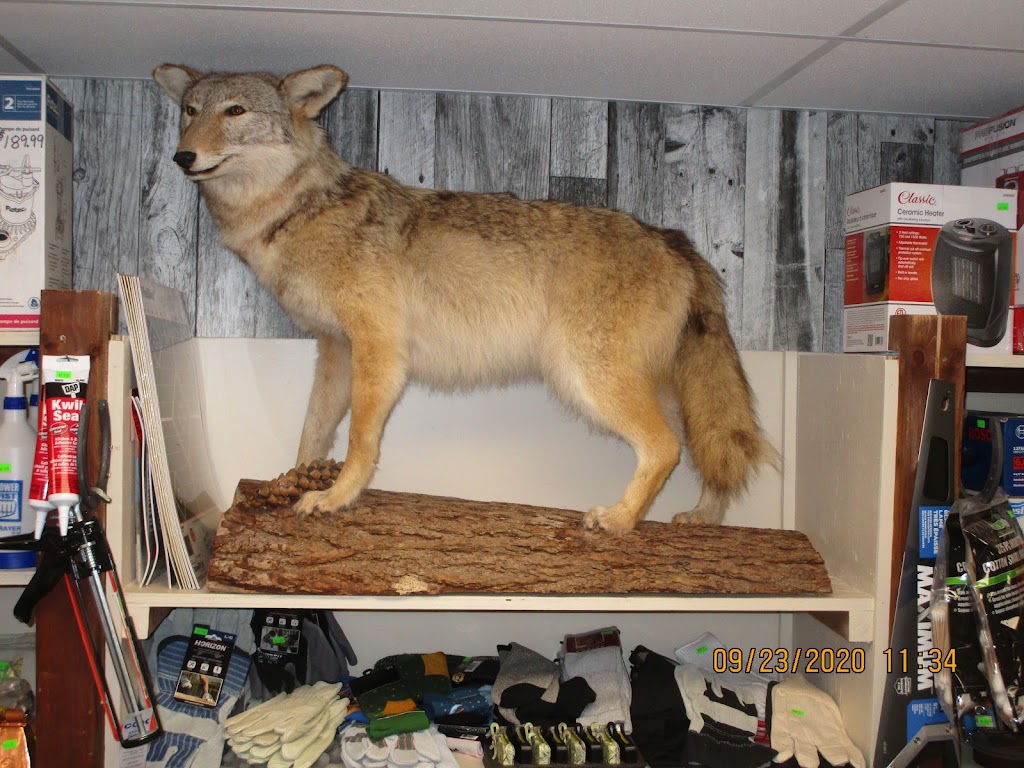 Charlies General Store | 4563 NB-880, Havelock, NB E4Z 5K7, Canada | Phone: (506) 534-2417