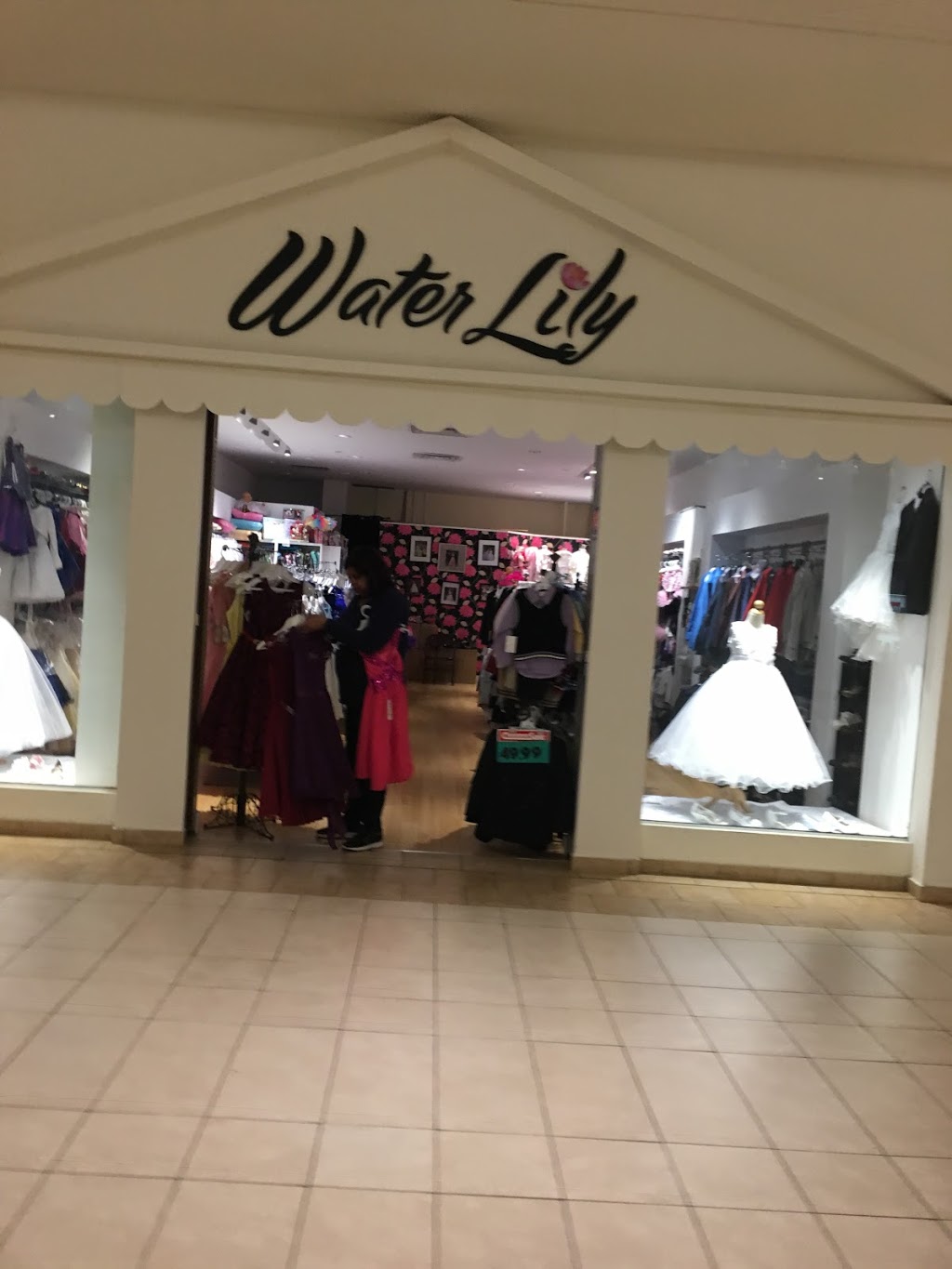 Water Lily | 25 Peel Centre Dr, Brampton, ON L6T 3R5, Canada | Phone: (905) 793-3883