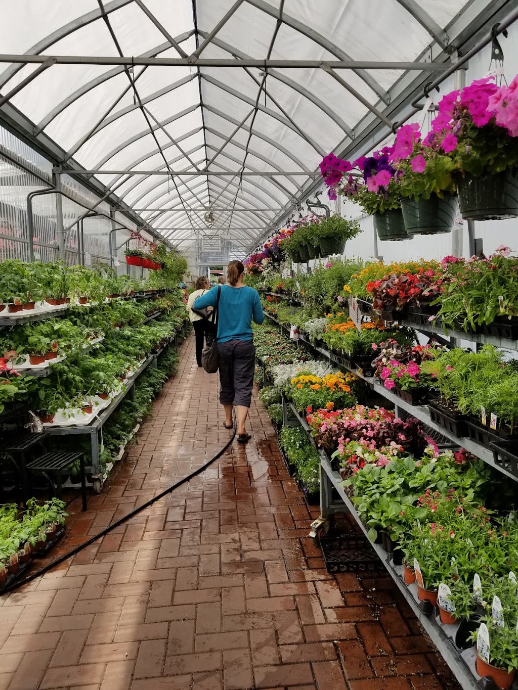 Buckerfields | 5410 Trans-Canada Hwy, Duncan, BC V9L 6W4, Canada | Phone: (250) 748-8171
