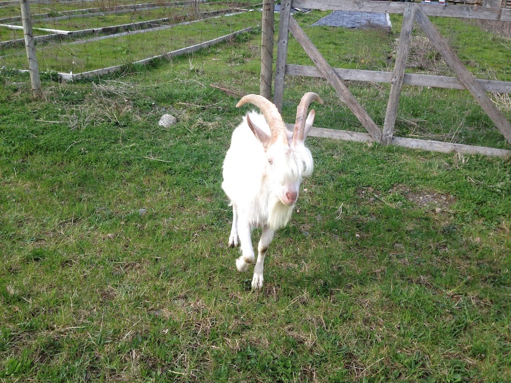 Eco Farming Group | 5876 Lougheed Hwy., Agassiz, BC V0M 1A1, Canada | Phone: (778) 987-1241