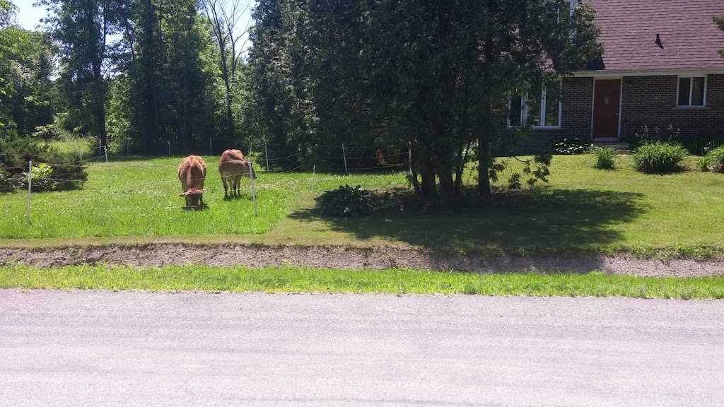 Ferme vache heureux | 2083 Chemin St Louis, Saint-Lazare, QC J7T 1Y2, Canada | Phone: (438) 929-3840