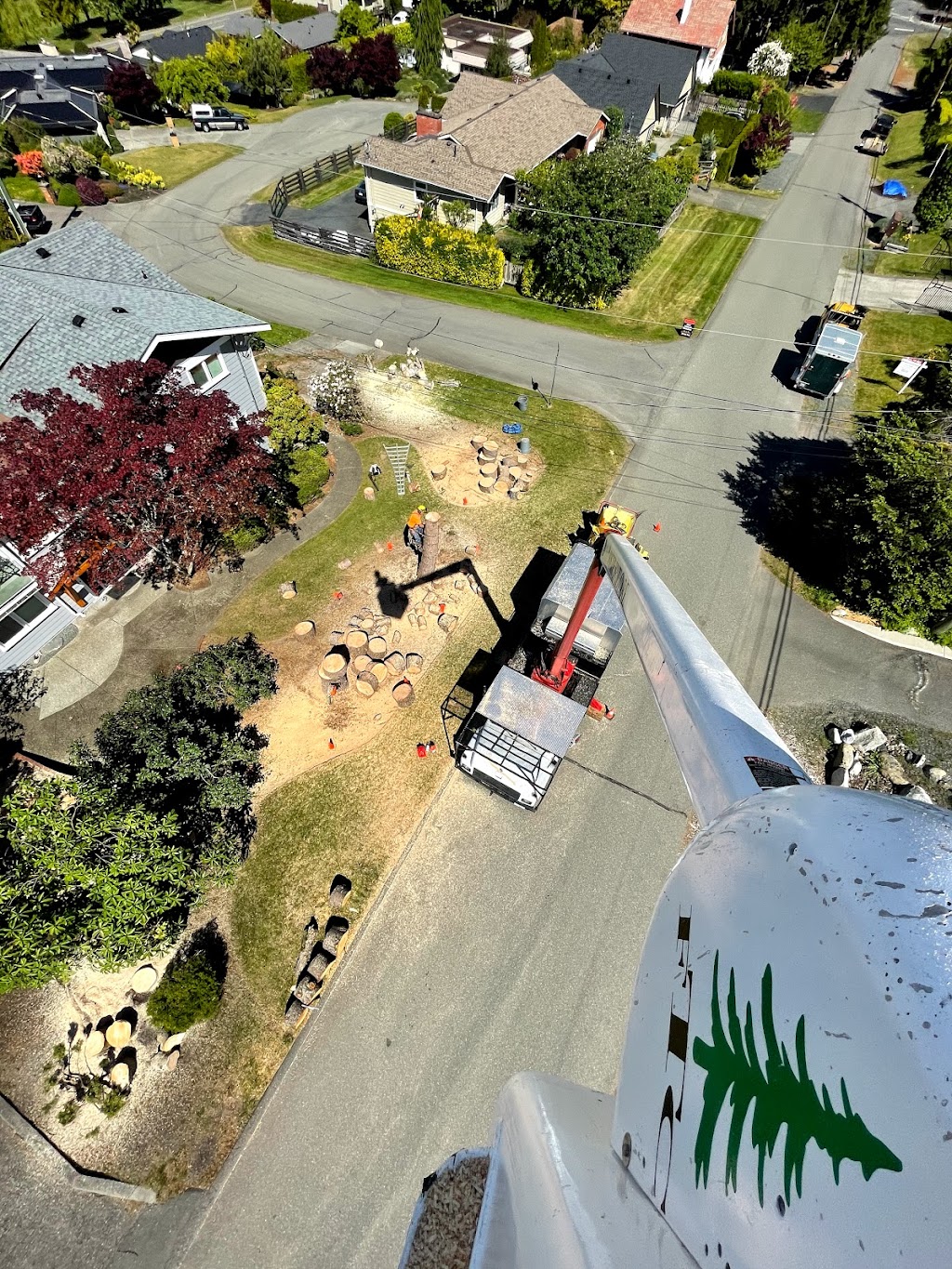 Foster Tree Care | 1038 Station Rd, Coombs, BC V0R 1M0, Canada | Phone: (250) 248-7898
