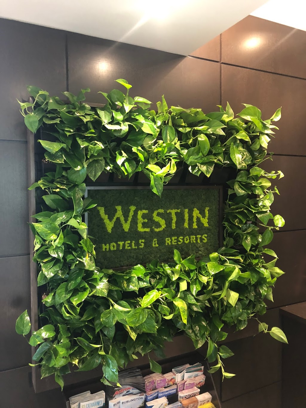 Living Wall Concepts Ltd | 1153 Pioneer Rd Unit B, Burlington, ON L7M 1K5, Canada | Phone: (905) 739-0505