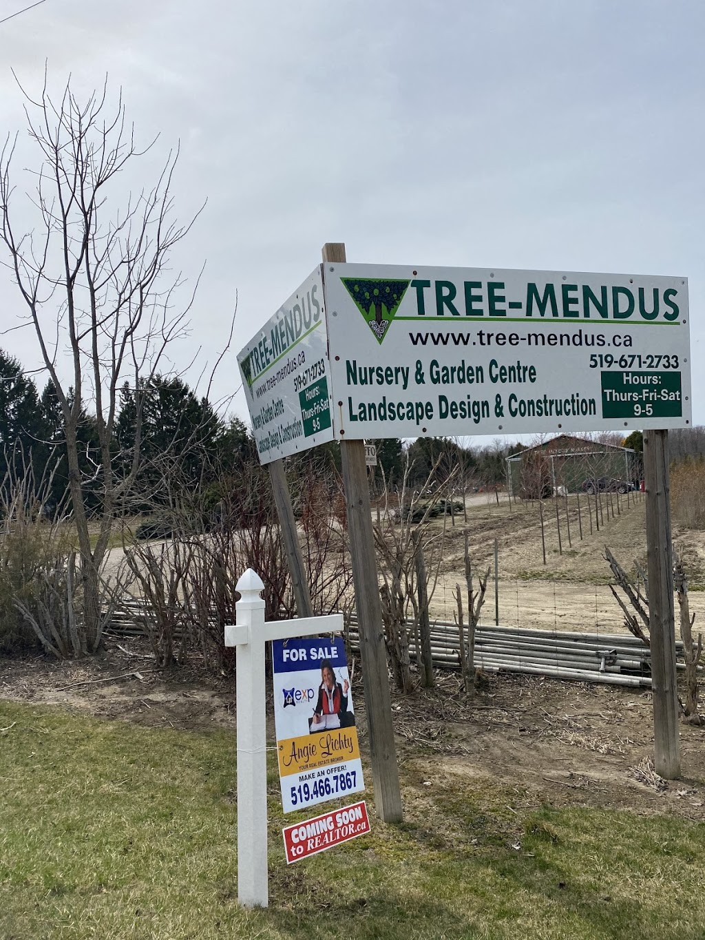angie lichty real estate | 50 King St W Unit C, Forest, ON N0N 1J0, Canada | Phone: (519) 466-7867