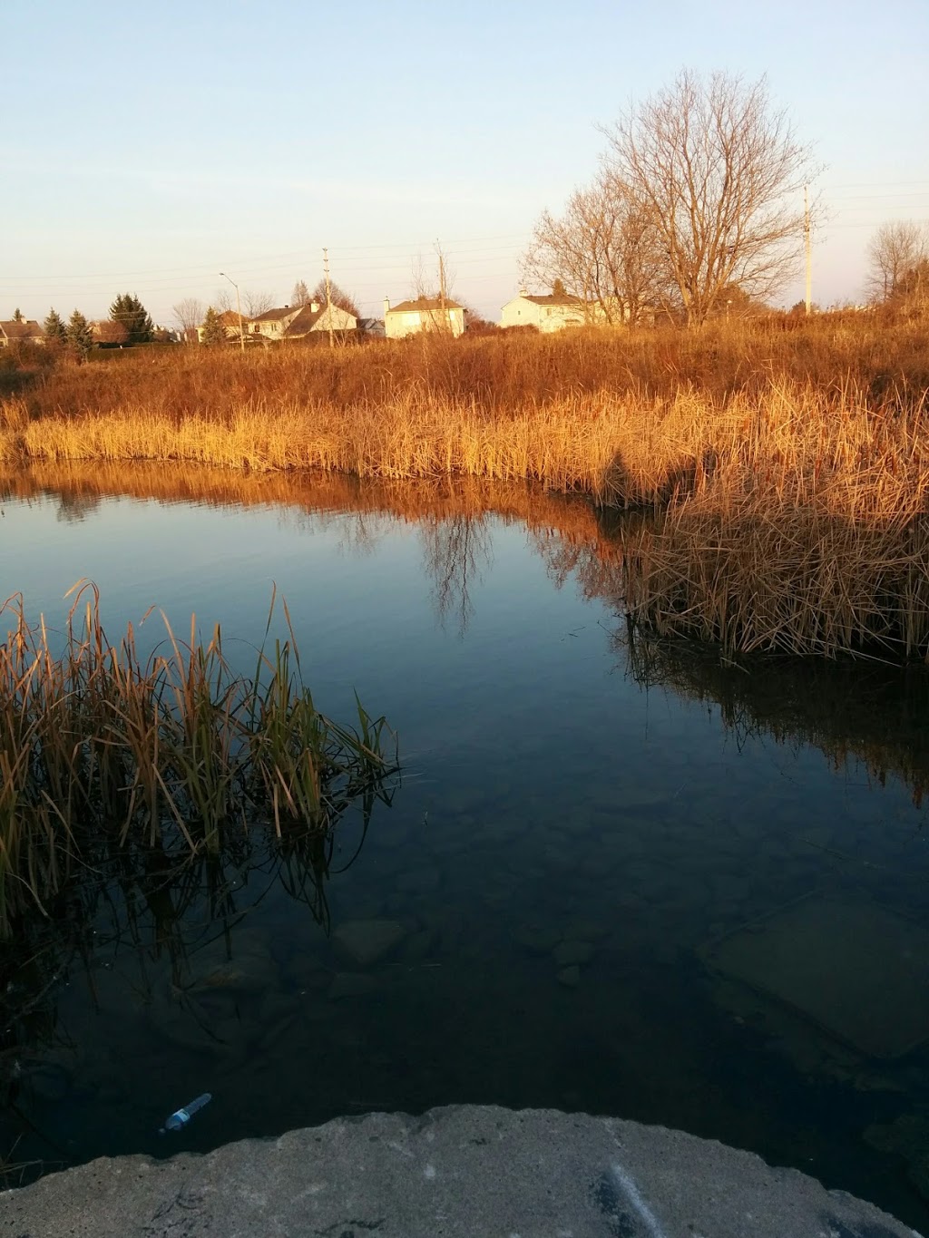 Weybridge Park | 75 Flanders St, Nepean, ON K2J 3P2, Canada