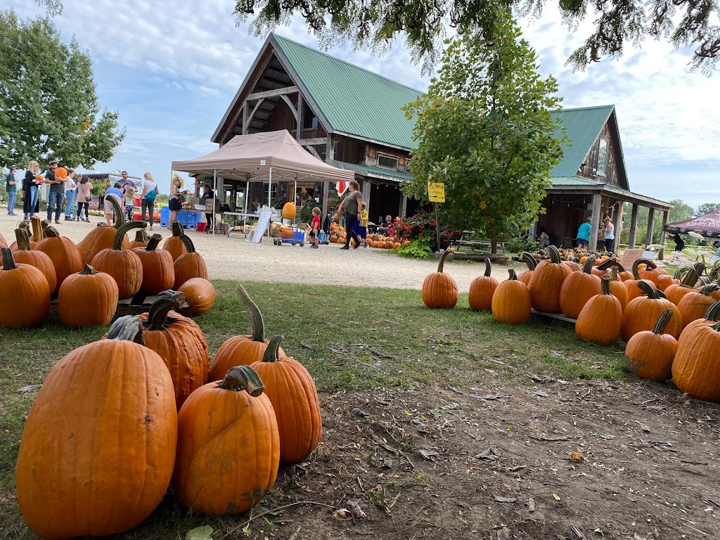 Twin Pines Orchards | 8169 Kennedy Line, Thedford, ON N0M 2N0, Canada | Phone: (519) 296-5558