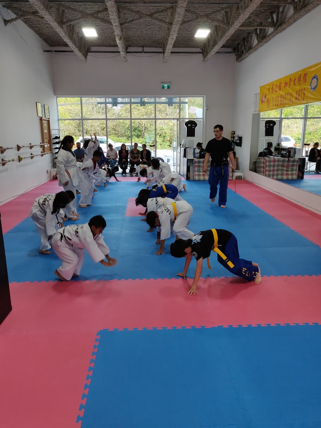 Wu-Yi Taekwondo Academy | 15942 96 Ave, Surrey, BC V4N 1G4, Canada | Phone: (236) 518-5641