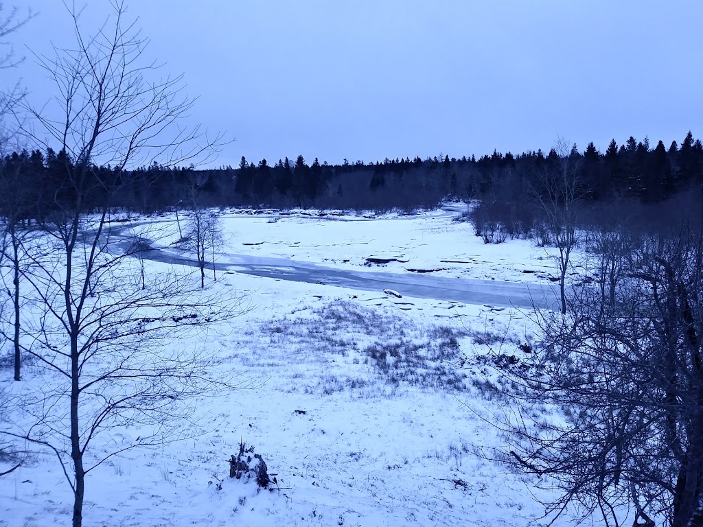 Forest Glen Bible Camp | 884 Forest Glen Rd, Brookfield, NS B0N 1C0, Canada | Phone: (902) 673-3228
