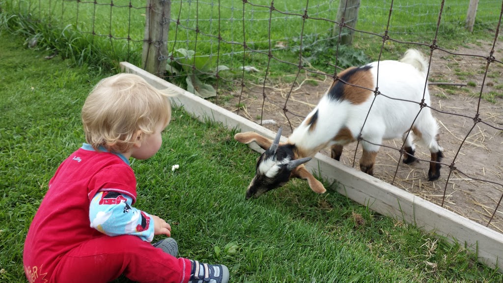 Oshawa Zoo | 3377 Grandview St N, Oshawa, ON L1H 8L7, Canada | Phone: (905) 655-5236