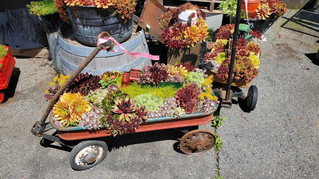 Aarts Nursery Ltd | 7200 216 St, Langley, BC V2Y 2S3, Canada | Phone: (604) 888-3555