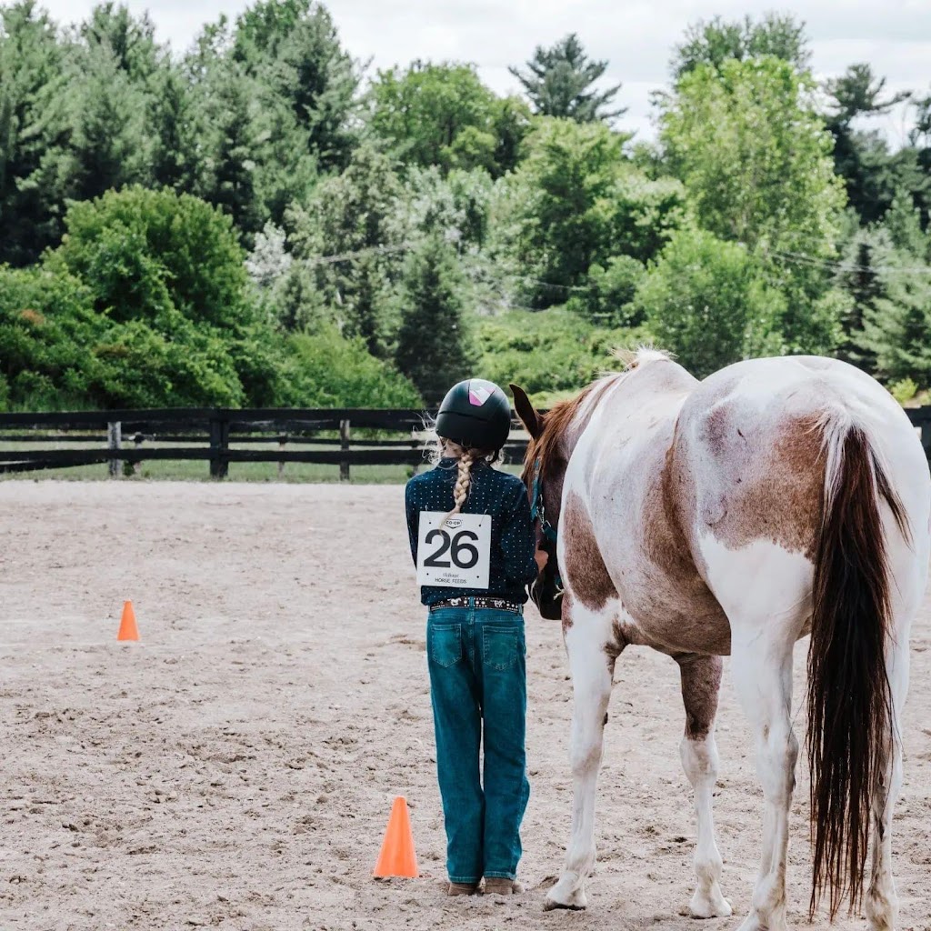 ABC Equestrian | 524239 Curry Rd, Ingersoll, ON N5C 3J8, Canada | Phone: (519) 709-1439