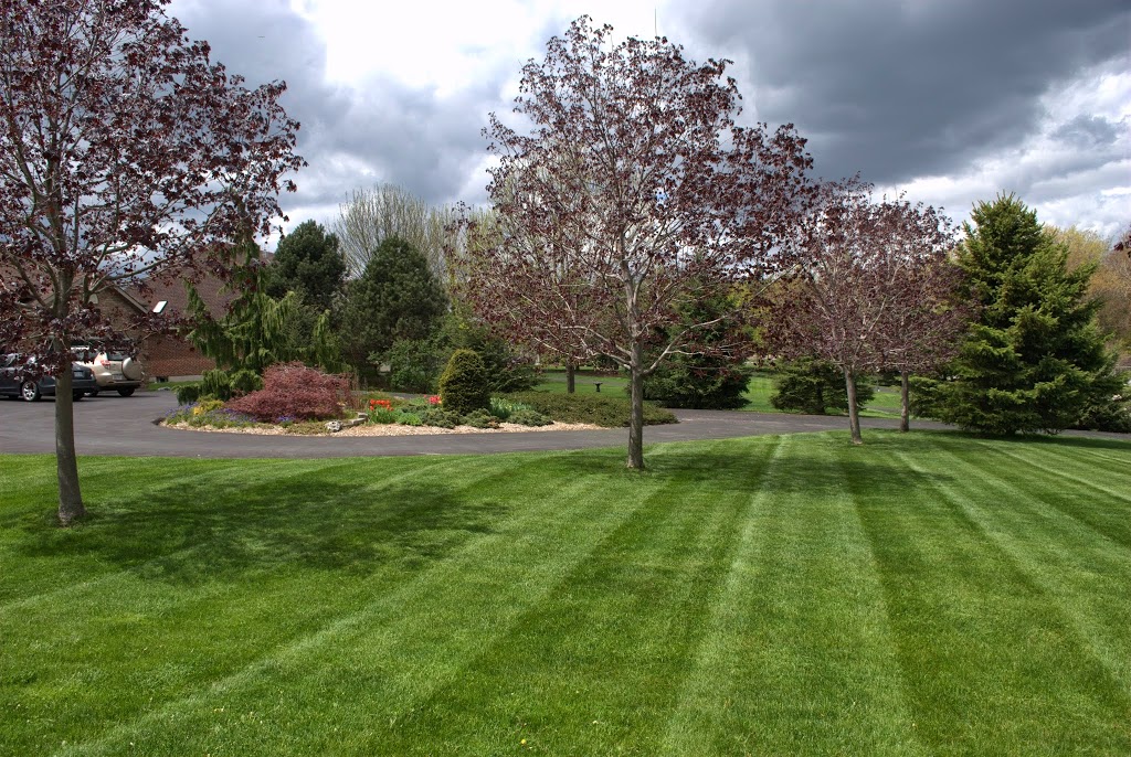 Lake Erie Property Maintenance | 91 Tennessee Ave, Port Colborne, ON L3K 2R9, Canada | Phone: (905) 835-2639