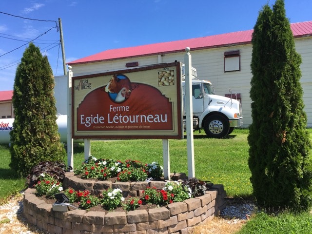 Ferme Égide Létourneau inc. | 2104 Chem. Royal, Sainte-Famille, QC G0A 3P0, Canada | Phone: (418) 829-2964